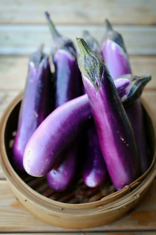 Eggplants / 茄子