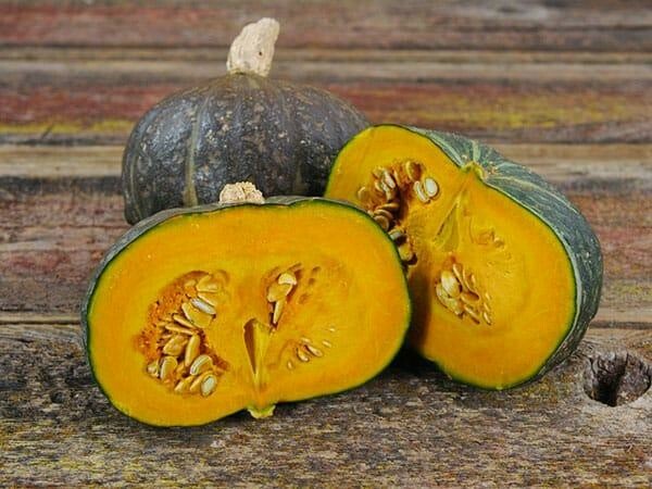 Kabocha / 南瓜