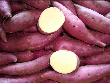 Japanese  yam / 日本蕃薯