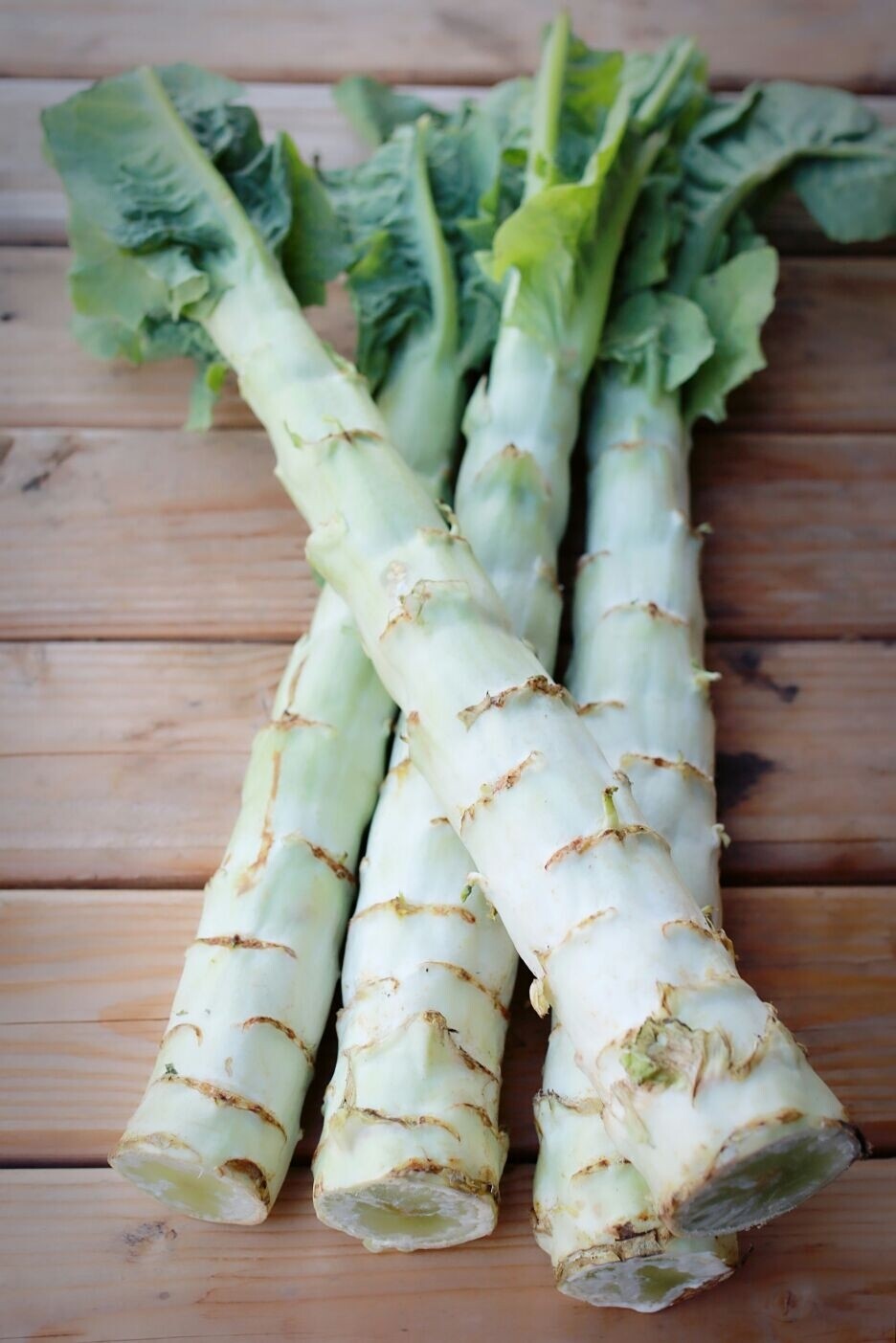 Lettuce stem / 窩筍