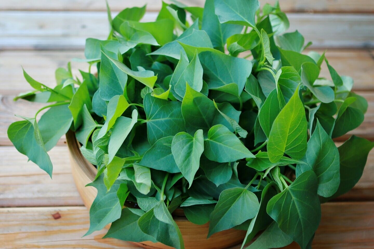  Yam Tip / 地瓜葉尖