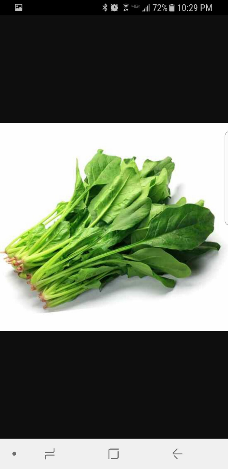 Taiwanese spinach/ 台灣菠菜