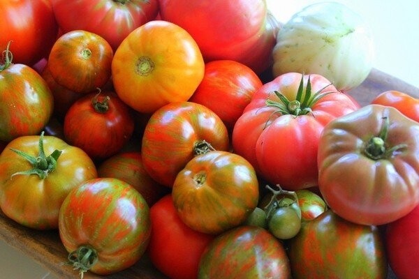 Heirloom Tomatoes /   復古番茄