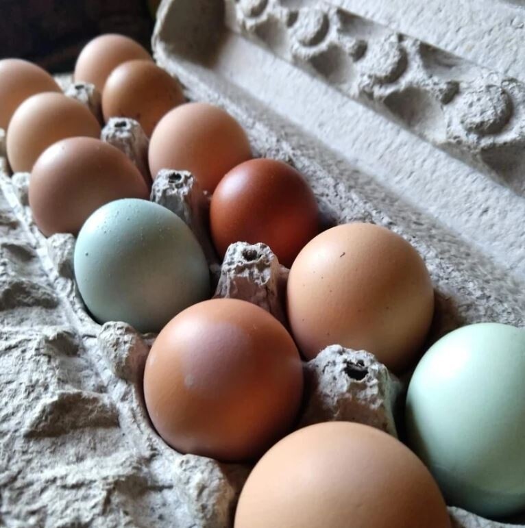 Cage Free Heritage Eggs / 乌鸡蛋 30 pcs (SALE)