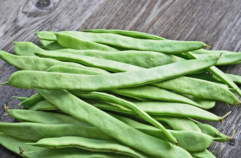 Romano Beans/ 扁豆