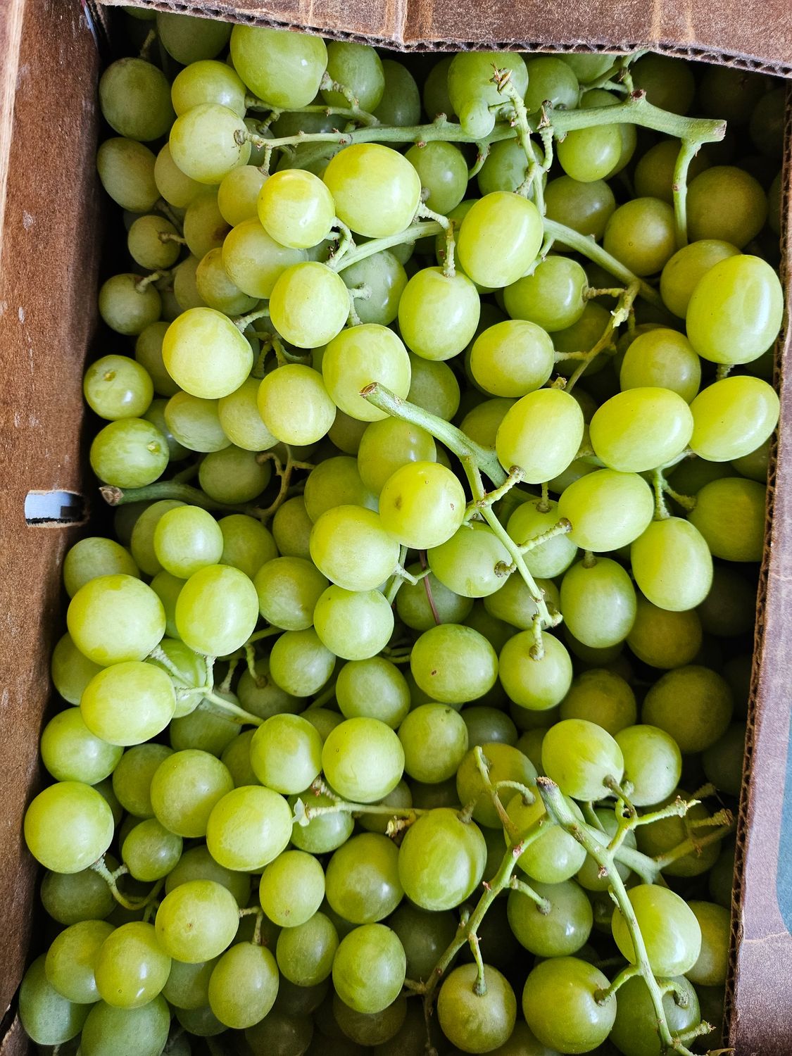 Organic Crispy Green Grapes