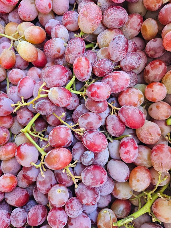 Organic Crispy Seedless Grapes