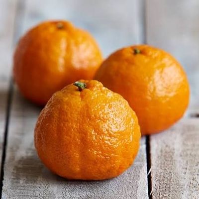  Farm Fresh Ggolden Nugget Mandarins/ 农场橘子