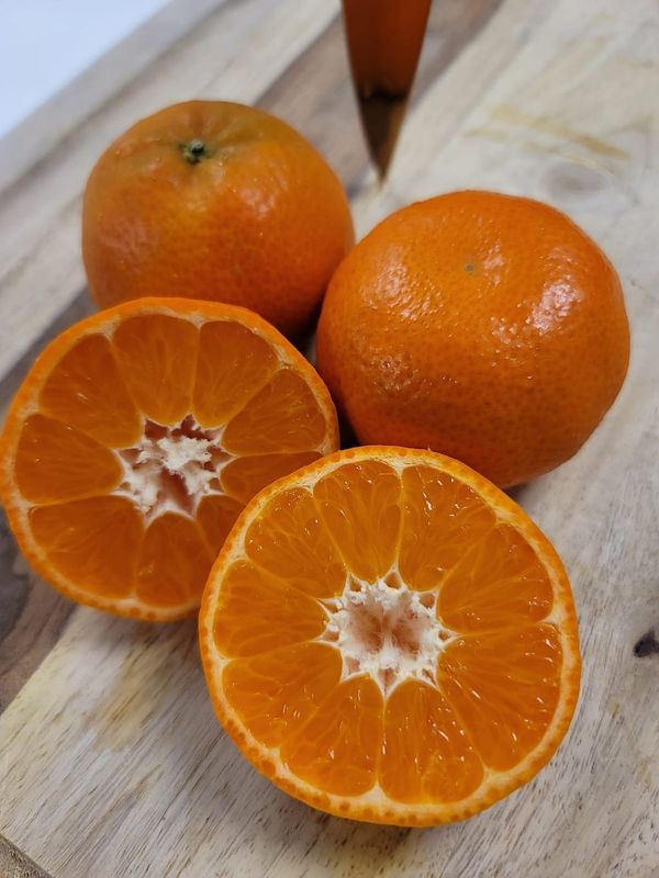  Orri Mandarins/ 奥里蜜桔 