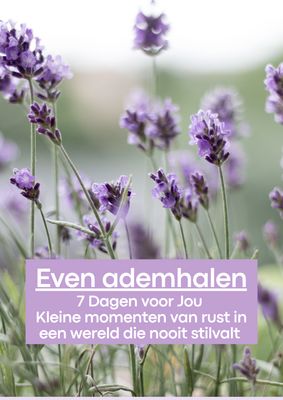 E-Book voor moeders