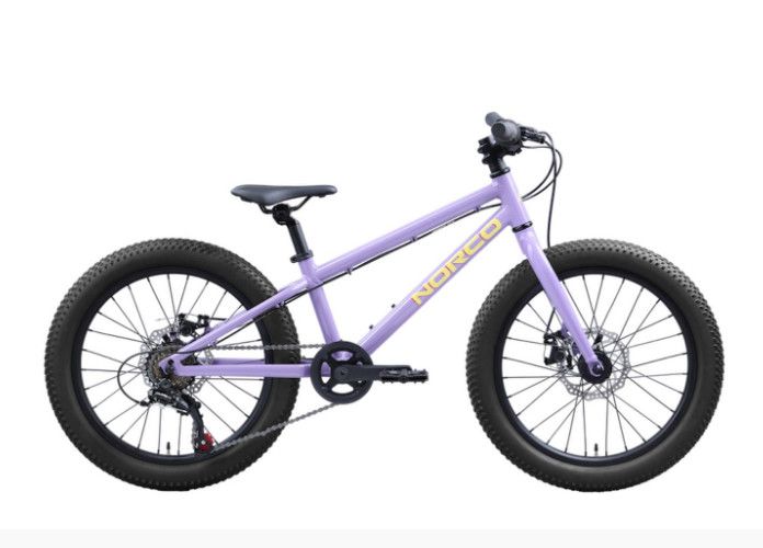 VÉLO ENFANT NORCO STORM 20 PURPLE, Size: OS