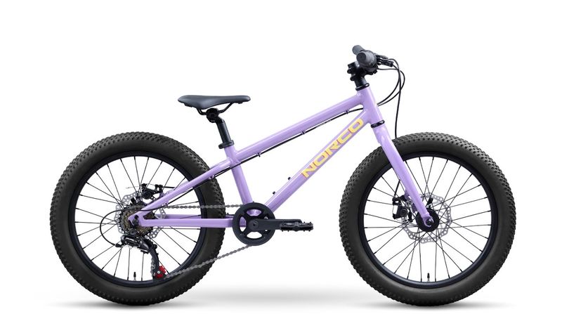 VÉLO ENFANT NORCO STORM 20 PURPLE