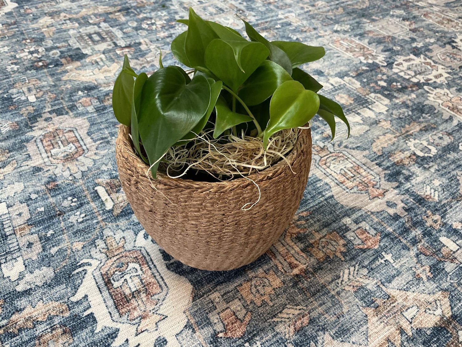 Rope Phil planter