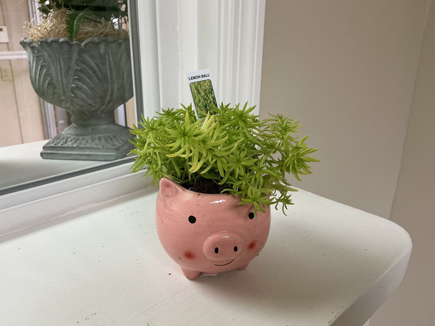 Pink Pig Planter