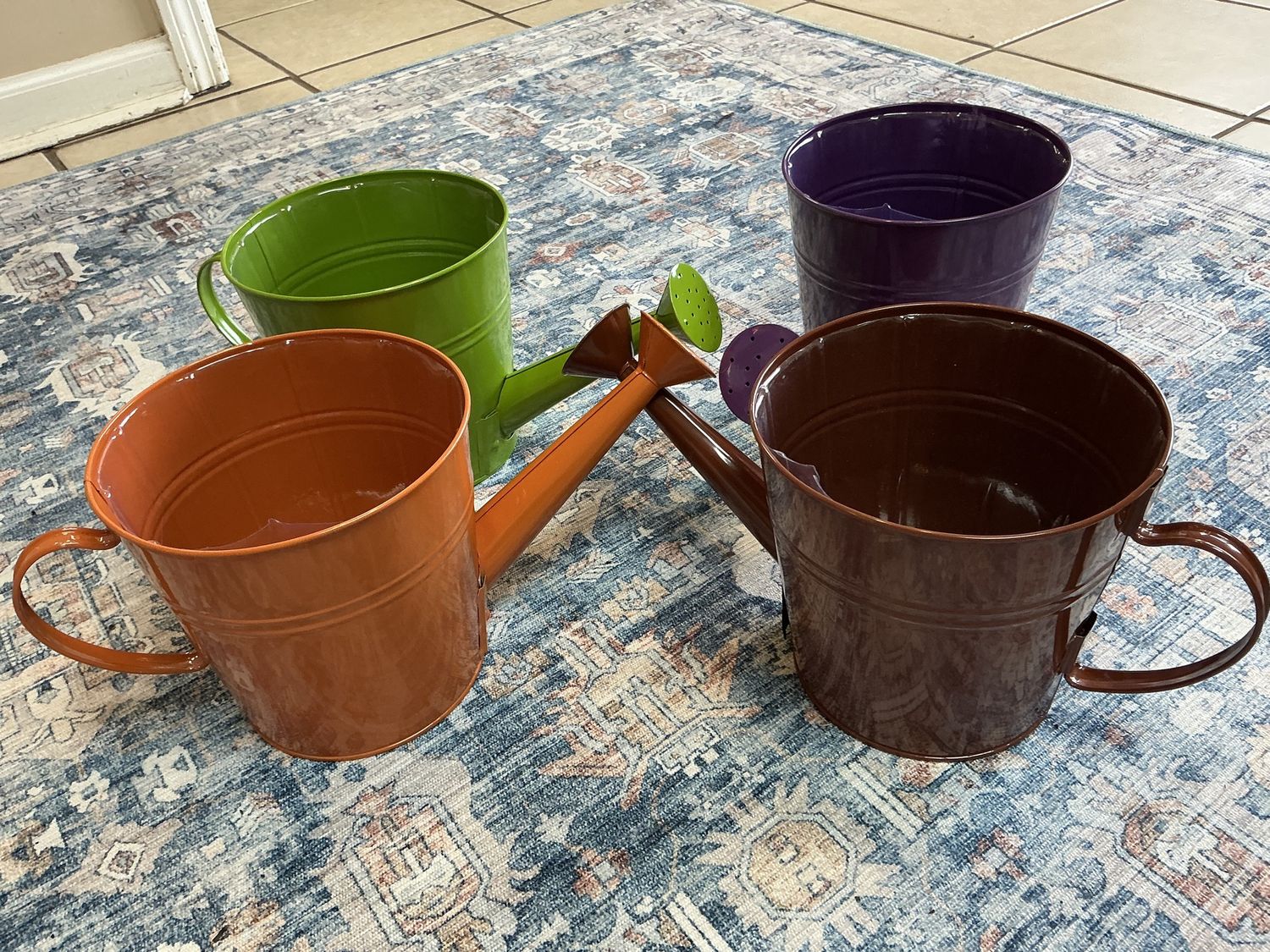 Spring Color watering can