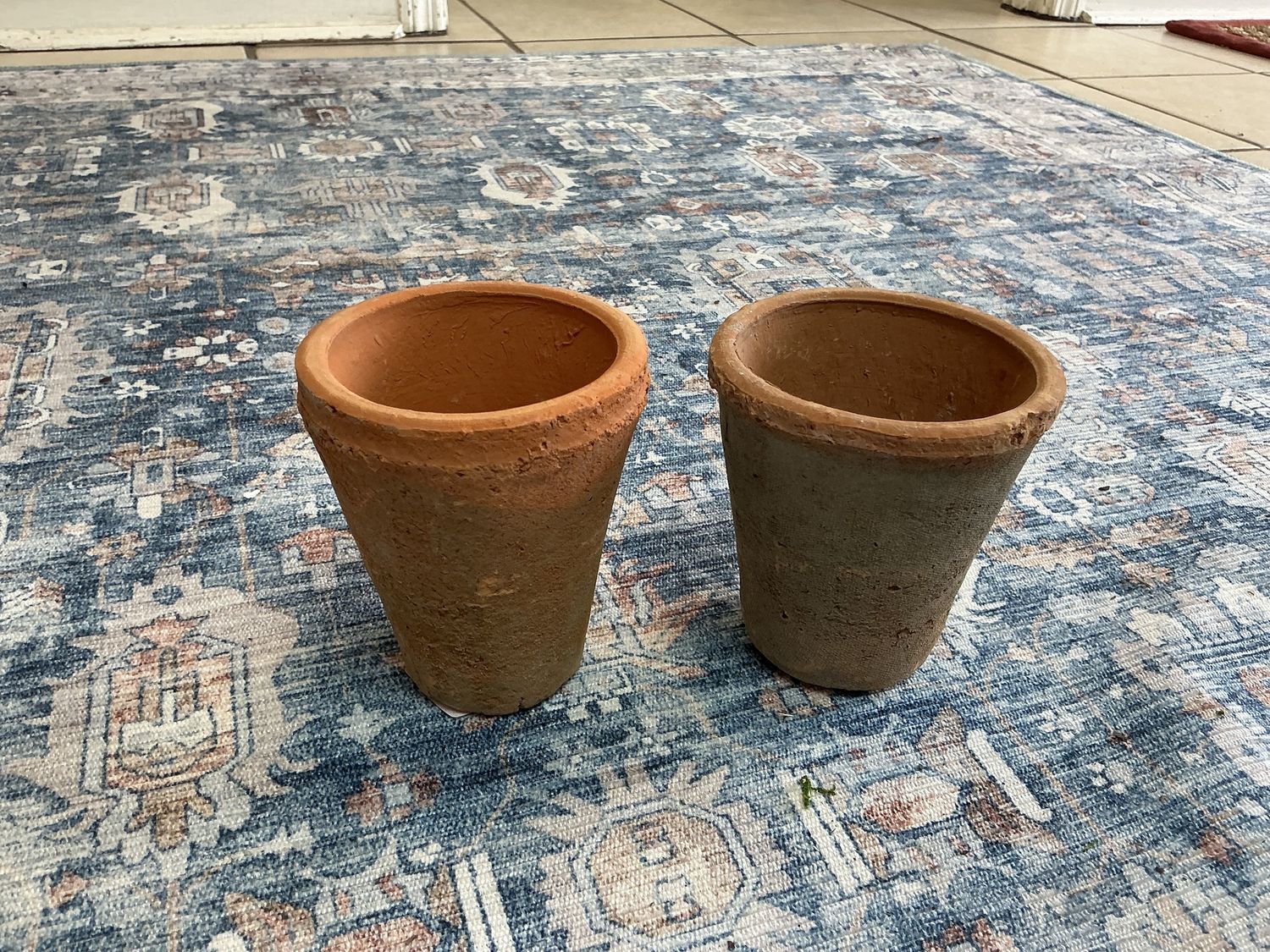 Terra rose small pot