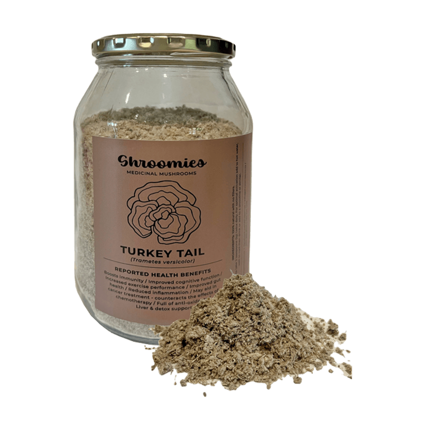 Turkey Tail Mushroom Powder