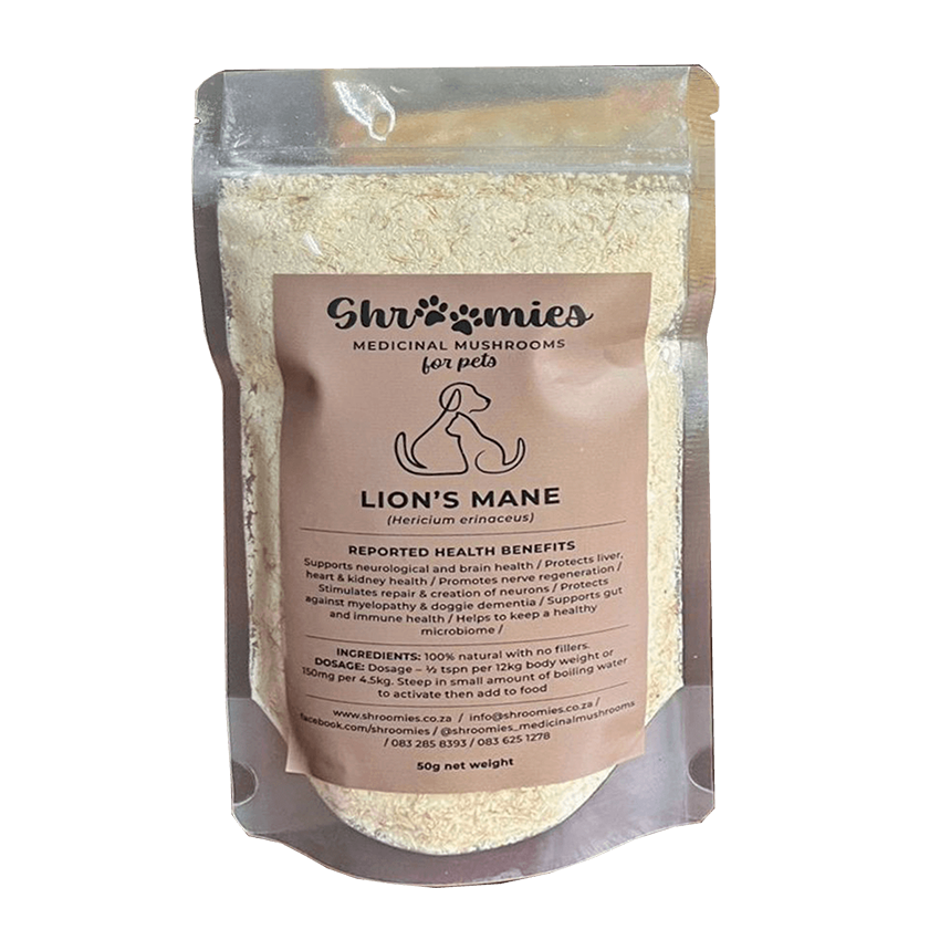 Lion’s Mane Mushrooms for Pets