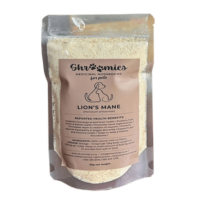 Lion’s Mane Mushrooms for Pets