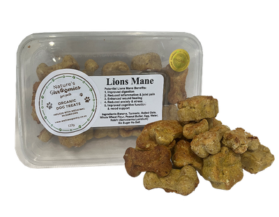Lion’s Mane Dog Treats