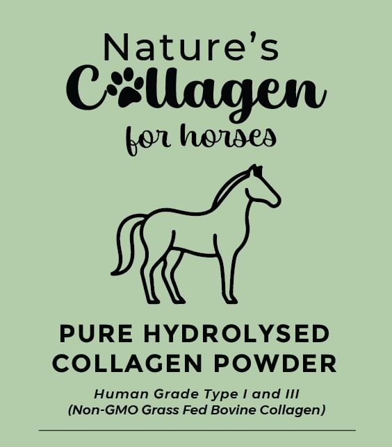 Pure Hydrolysed Collagen Powder for Horses 1kg