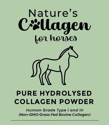 Pure Hydrolysed Collagen Powder for Horses 1kg