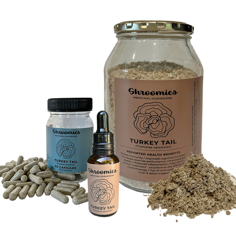 Turkey Tail Mushroom Powder