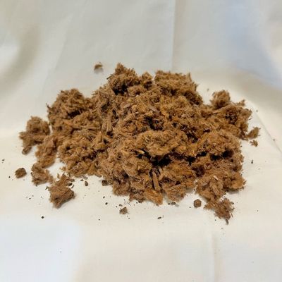 Reishi Mushrooms for Pets