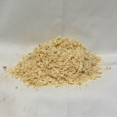 Lion’s Mane Mushrooms for Pets