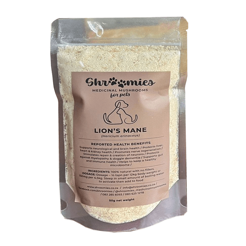 Lion’s Mane Mushrooms for Pets