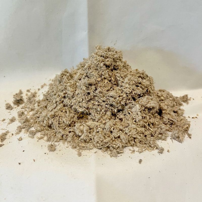 Turkey Tail Mushrooms for Pets