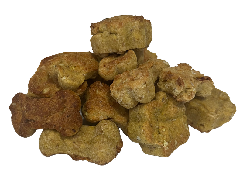 Reishi Dog Treats