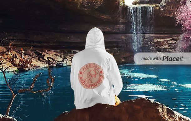 Sweat à capuche zippé, logo dans le dos
