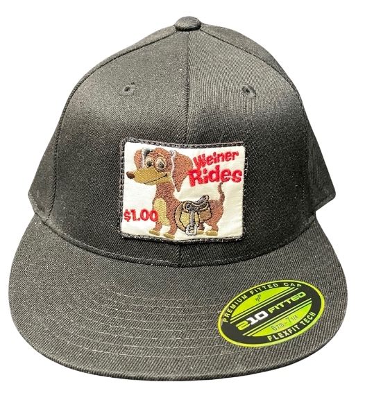 Weiner Dog Rides Hat