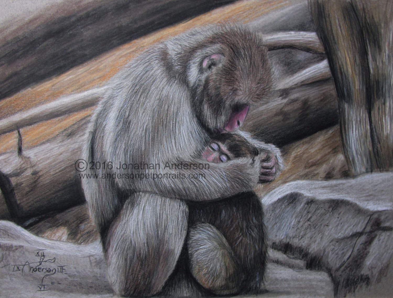 Monkey Embrace original 9&quot;x12&quot; colored pencil drawing