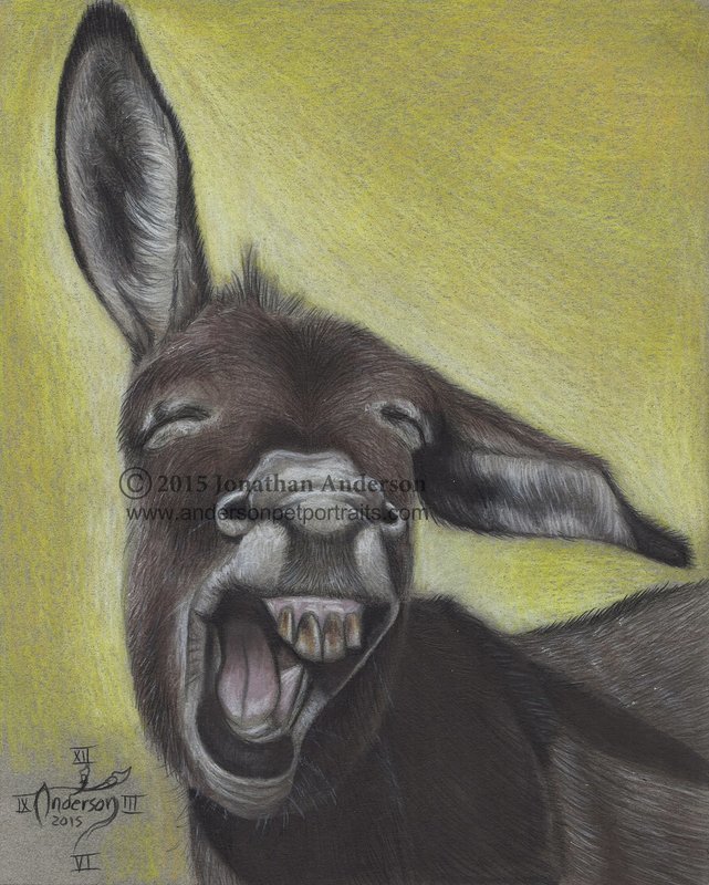 Laughing Jack drawing print