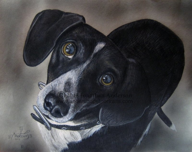 Portrait of Dexter drawing print