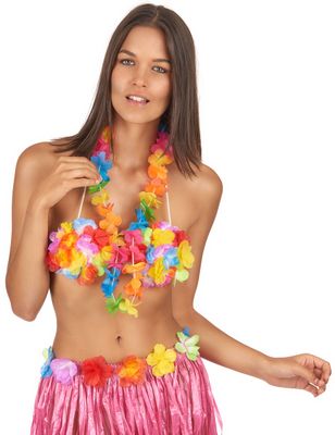 Collier Hawaï couleurs vives