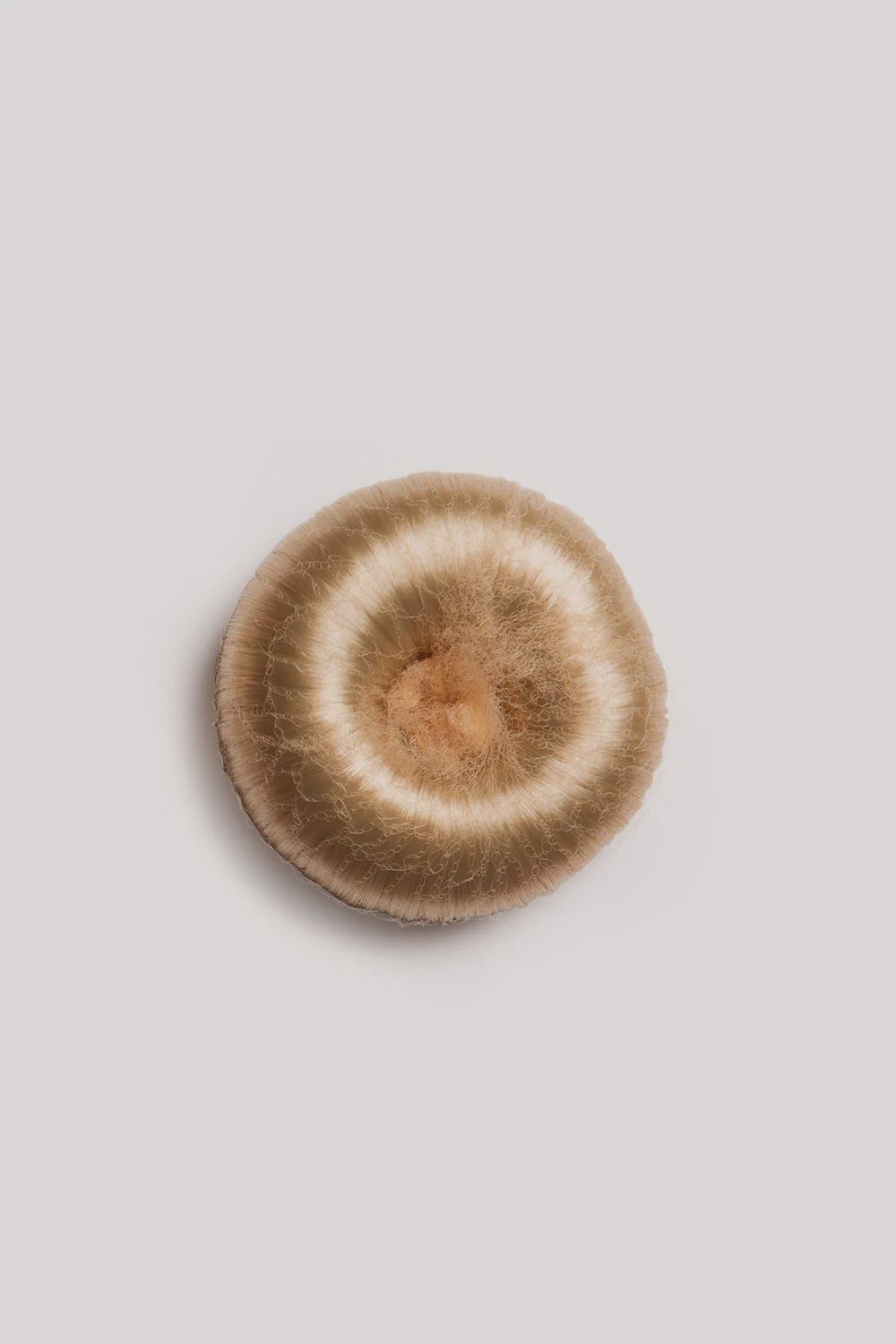 Hair Bun Donut, size: Medium, Colour: Honey