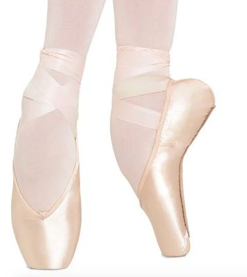 Bloch Heritage pointe Shoe
