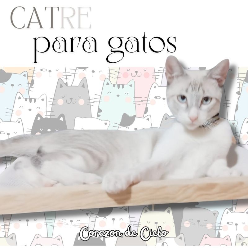 Catre flotante empotrable para gatos