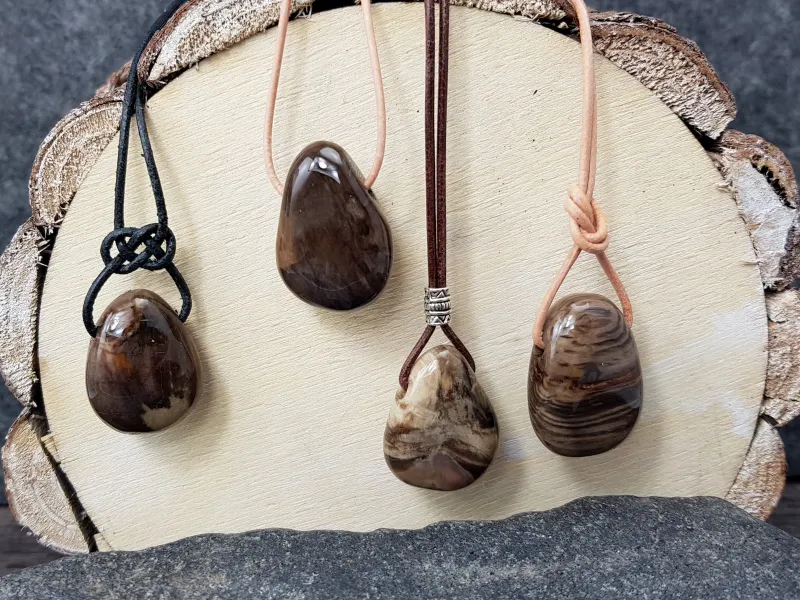 Petrified wood tumbled stone