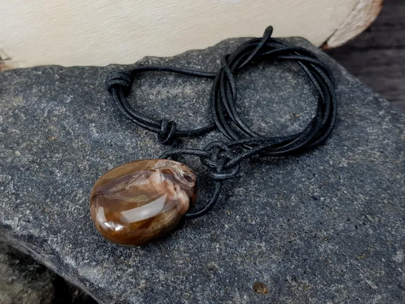 Petrified wood tumbled stone