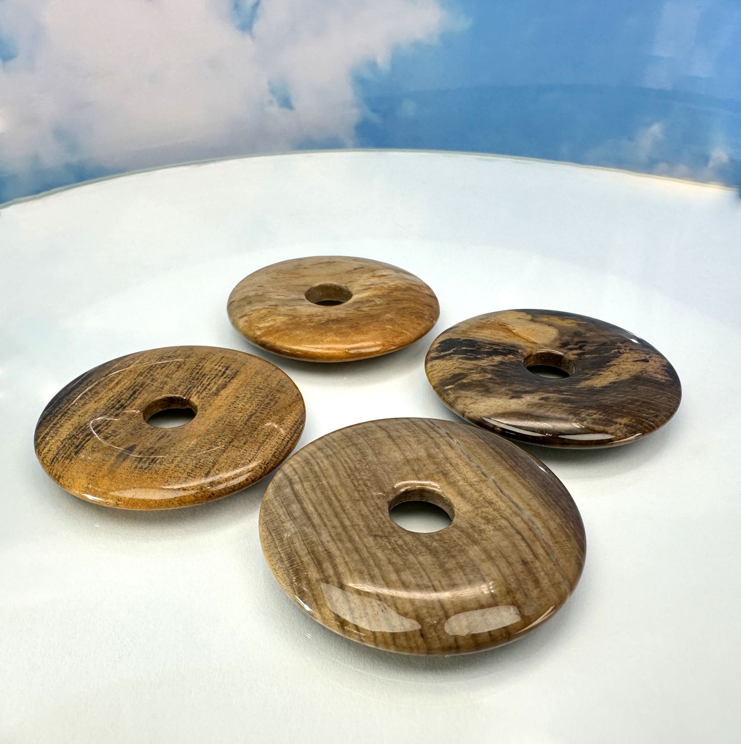 Donut Petrified wood