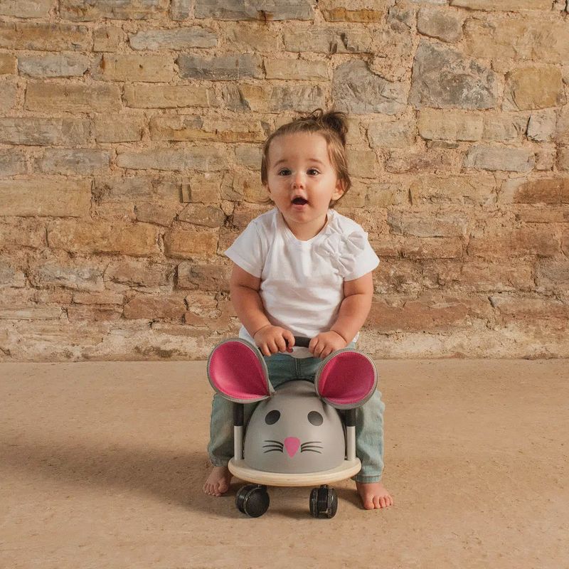 Wheelybug loopwagen
