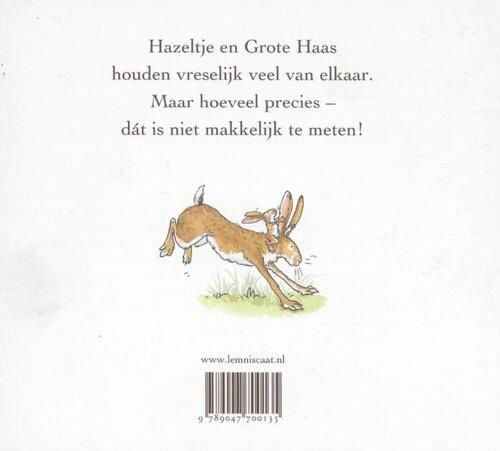 Boek Raad eens (luxe kartonboek)