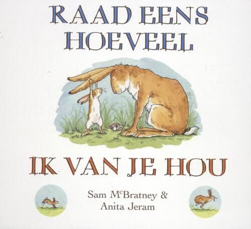 Boek Raad eens (luxe kartonboek)