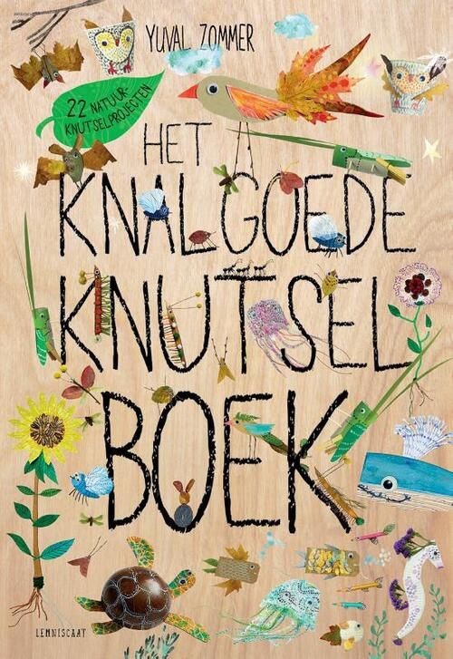 Boek Het knalgoede knutselboek