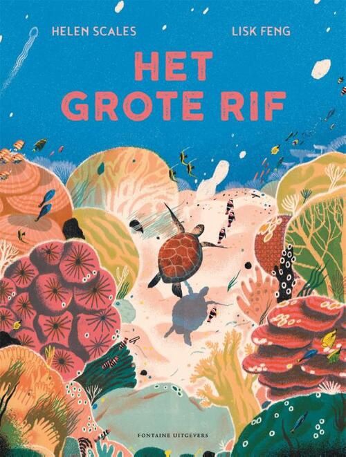 Boek Het grote rif