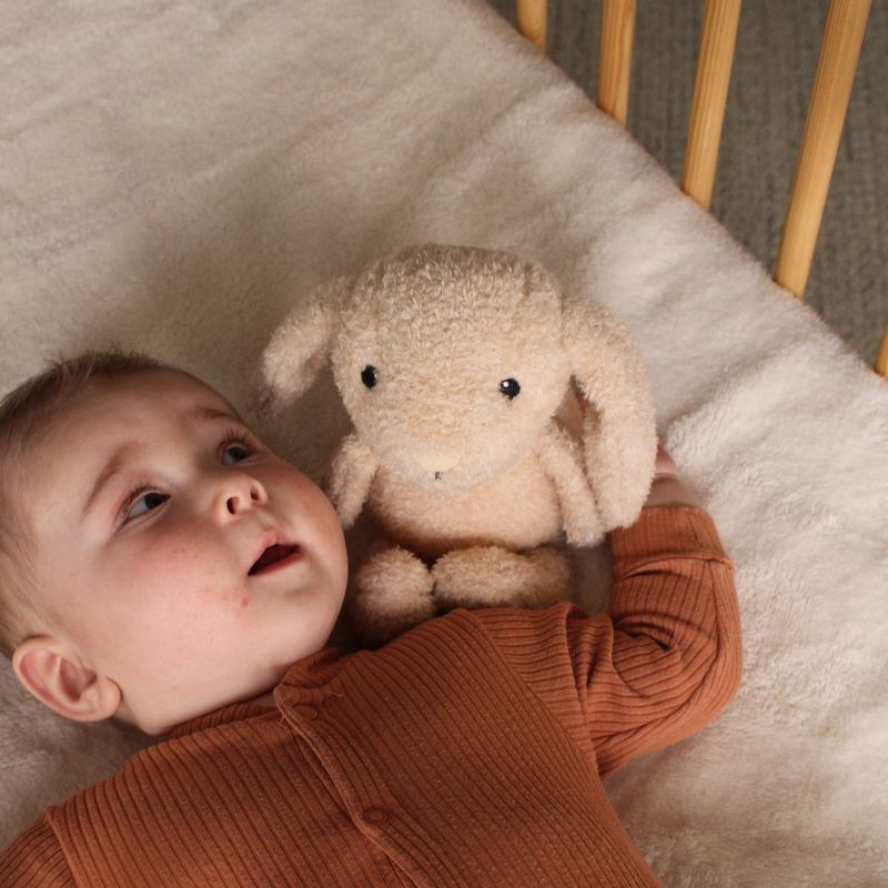 Flow Amsterdam nachtlampje Milo